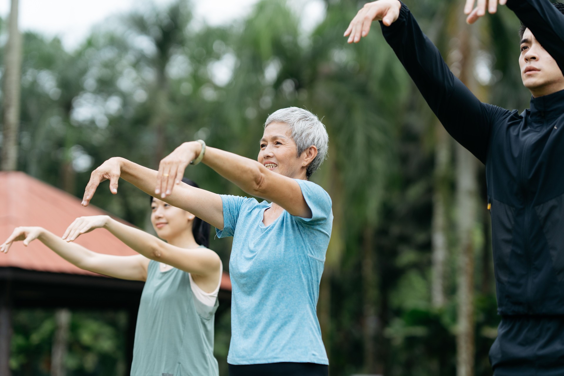 A group of people practicing Tai Chi in a public park, sport workout in nature